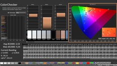 CalMAN: ColorChecker (calibrated)