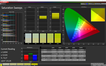 CalMAN: Colour saturation – sRGB target colour space