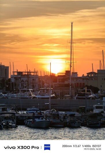 Vivo X300 Pro with teleconverter Raw Lighting.