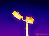 Birds on a street lamp