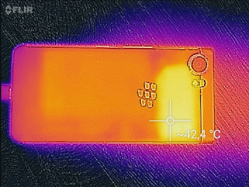 Heat map back