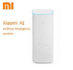 Xiaomi has made Mi smart speakers in the past, but none with a screen. (Source: AliExpress)