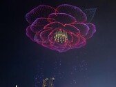 A scene from Charming Chongqing of a camellia petal; the official flower of Chongqing (Image source: SB News; cropped)