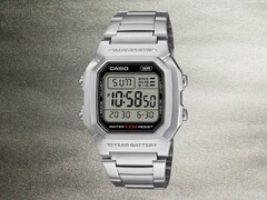 Casio’s Standard W-800HD-1AV watch