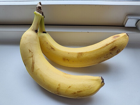 Recording with the main camera