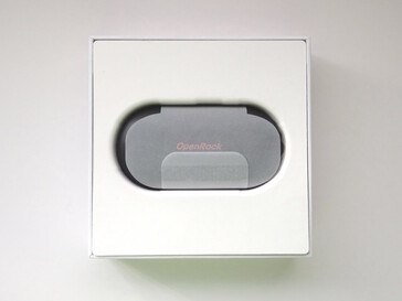 Inner packaging. (Image source: Notebookcheck)