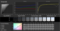 CalMan: Grayscale before calibration