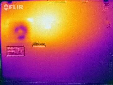 Surface temperatures during the stress test (bottom)