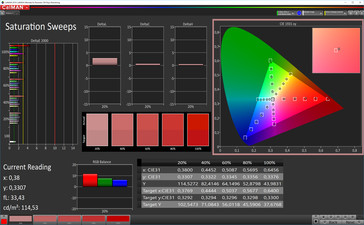 CalMAN color saturation (target color space sRGB), profile: simple