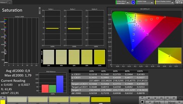 CalMAN saturation – main display, natural