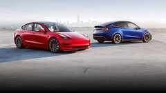 Base Model 3 and Model Y have China-made LFP batteries (image: Tesla)