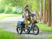 The Puckipuppy Rottweiler e-trike features a full suspension system (Image source: Puckipuppy)