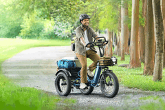 The Puckipuppy Rottweiler e-trike features a full suspension system (Image source: Puckipuppy)