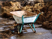 There is value in manure and slurry, you just have to get it out. (pixabay/Antranias)