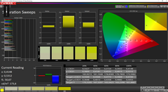 CalMAN Saturation Sweeps (before calibration)