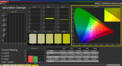 Saturation (calibration)