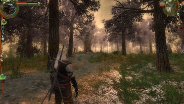 Pictured: A gameplay screenshot from The Witcher: Enhanced Edition Director's Cut.