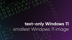 Tiny11 developer strips down Windows 11 to its bare minimum form (Image source: NTDev)