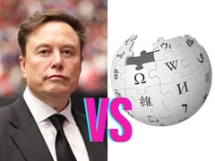 Artistic representation of Elon Musk vs Wikipedia. (Image source: Wikipedia, edited)