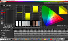 CalMAN ColorChecker (target color space P3)