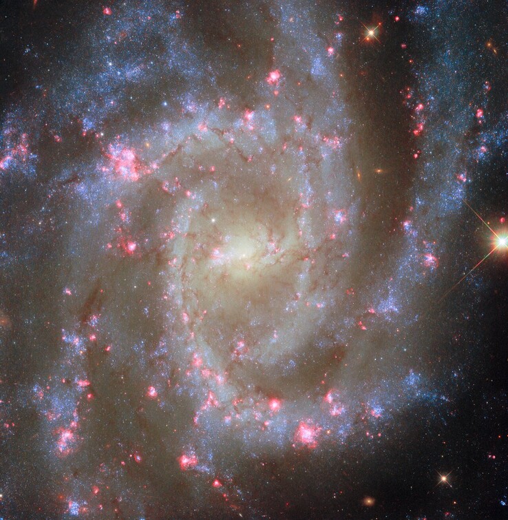 The POTW image of NGC 2835 (Image source: ESA, NASA, R. Chandar, J. Lee, and the PHANGS-HST team)