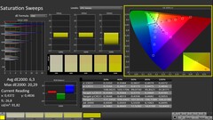 CalMAN: Saturation (calibrated)