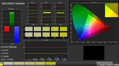 CalMAN: Saturation Sweeps (calibrated)