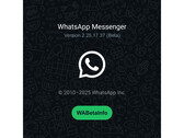 A splash screen with a busy green background and WhatsApp logo mentioning the number of the latest beta build. (Image Source: @WABetaInfo on X)