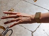 Whoop Meridian can be adjusted continuously using a magnetic clasp.
