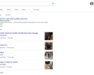 Bing search showing subreddit search results. (Source: Reddit)