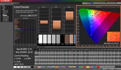 CalMAN: ColorChecker (calibrated)