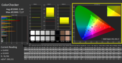 CalMAN - Color Checker (calibrated)