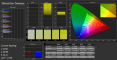 CalMan: SaturationSweeps before calibration