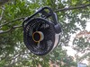 Tree hanging capable