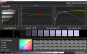 CalMAN Grayscale (target color space: sRGB)