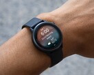 Garmin’s vivoactive 6 smartwatch (pictured) is receiving a new stable update. (Image source: Garmin)