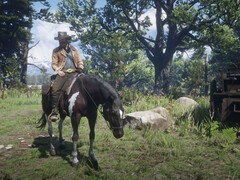 Image showing Arthur Morgan on his horse in Red Dead Redemption 2. (Image source: Rockstar Games)
