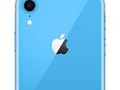 The iPhone XR adds blue to the Apple back-panel color gamut. (Source: Rogers)