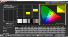 CalMAN ColorChecker (Profile: sRGB)