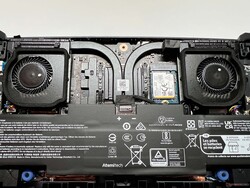 Two fans