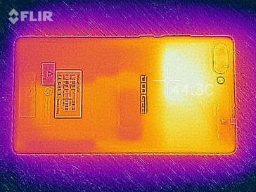 Heatmap back