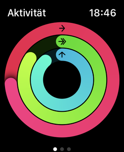 Three activity rings for movements (red), trainings (green), and standing (blue).