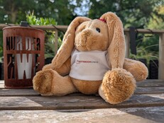 Google Pixel 10 Pro: Sample photo