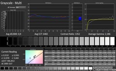 CalMAN: Grayscale (calibrated)