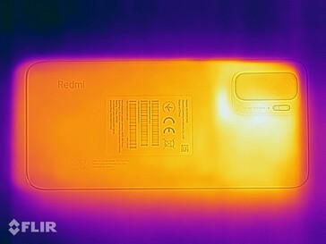 Heat map - Back