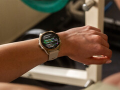 The Fenix 8 is one of several smartwatches in line for a v17.xx stable update. (Image source: Garmin)