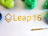 OpenSUSE Leap 15.6 will be followed in 2025 by Leap 16 based on the Adaptable Linux Platform (Image: openSUSE).
