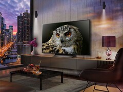 The 2025 LG C5 OLED TV appears to have the same stand as the older C4 (above). (Image source: LG)