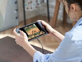 The Nintendo Switch 2 does not deliver convincing HDR in handheld mode. (Image source: Nintendo)