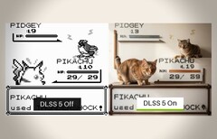 After 30 years, the truth is finally revealed - Pidgey is a cat in a pigeon costume.